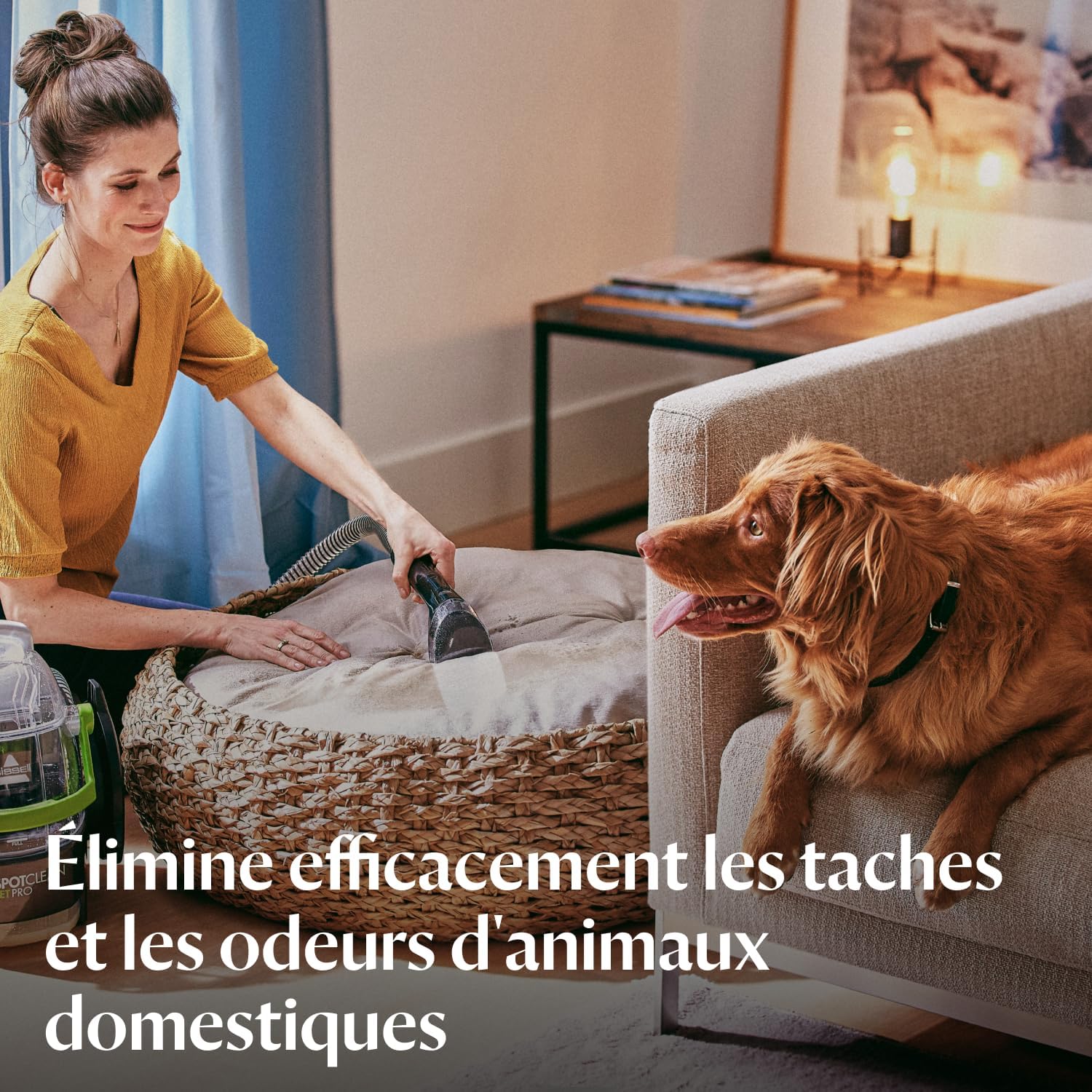 SpotClean Pet Pro, Shampouineuse Canapé, Moteur Puissant de 750W, Idéal pour les Propriétaires d'Animaux, Nettoyeur pour Tapis, Moquettes, Meubles, Tissus, Voiture & Plus Encore, 15585