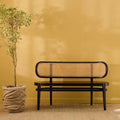 Musk Teak Rattan Bench