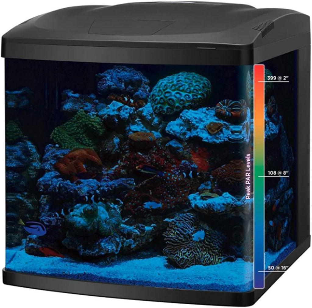 Kits de Acuarios LED y Combinados (Kit de Acuario de 32 Galones con Soporte)