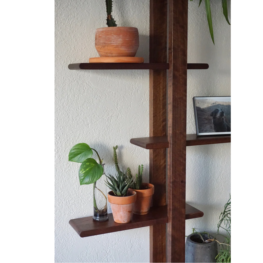 Pavel Wall Shelf