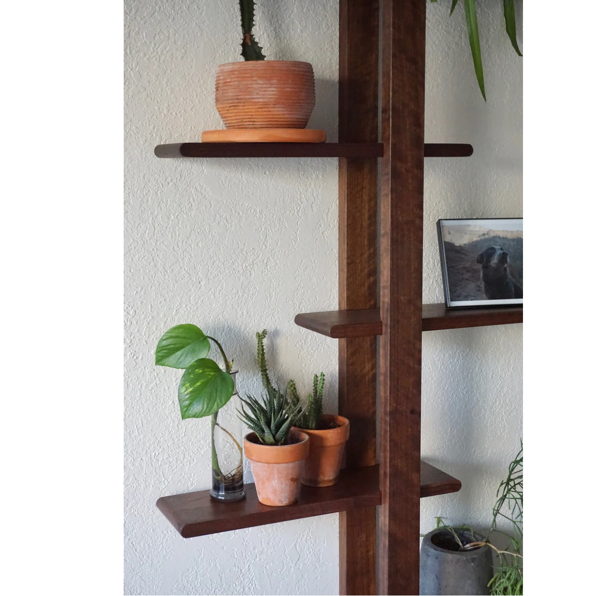 Pavel Wall Shelf