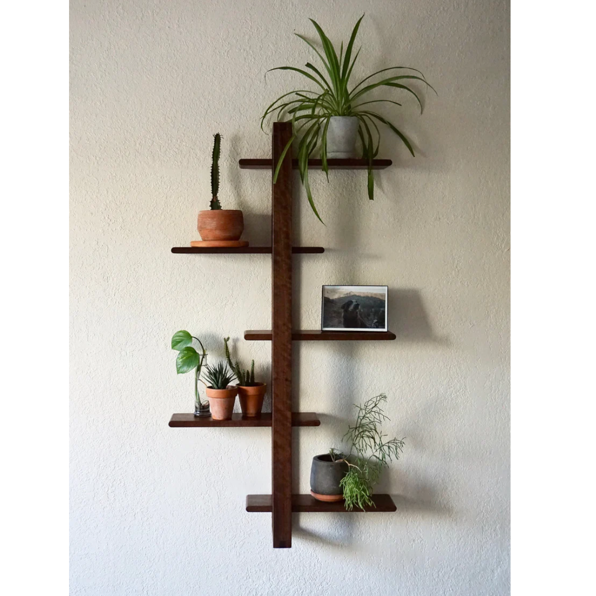 Pavel Wall Shelf