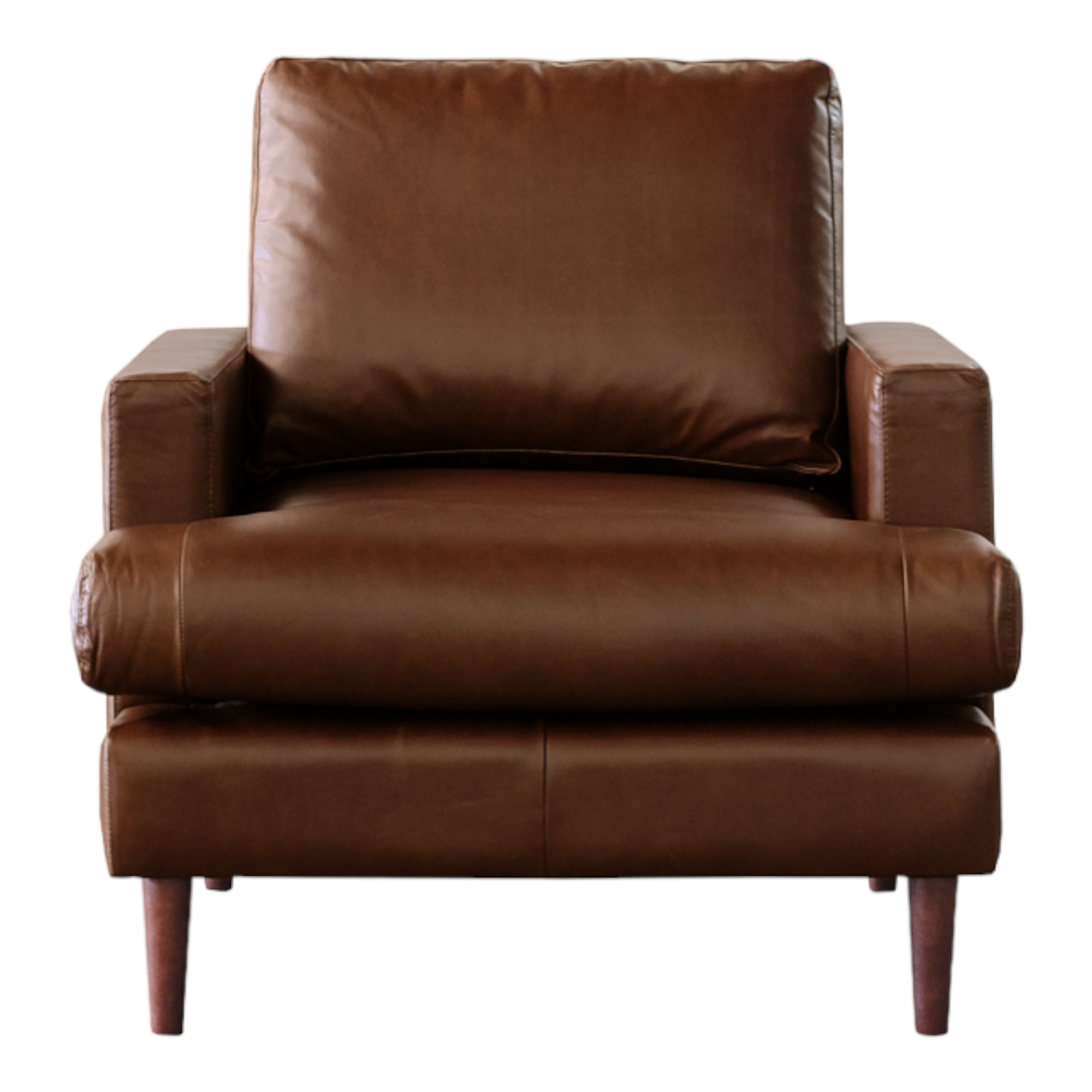 Nismaaya Adana Leather Single Seater Sofa